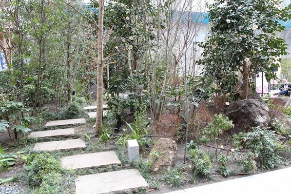 『景観経済』時代の到来。自然の恵みを生かした”驚きと感動のエクステリア空間を創る。