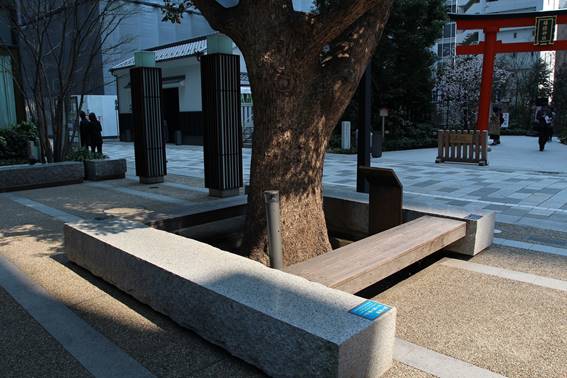 『景観経済』時代の到来。自然の恵みを生かした”驚きと感動のエクステリア空間を創る。