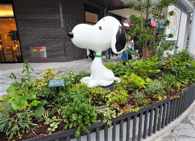 モールからパークへ、これが新しい商業空間だ