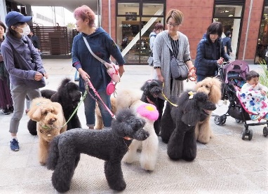 モールからパークへ、これが新しい商業空間だ