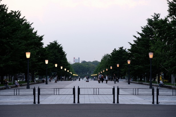 和と洋の両方にフォーカスを当てた、東京駅前広場及び行幸通りのプロジェクト事例